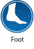 foot